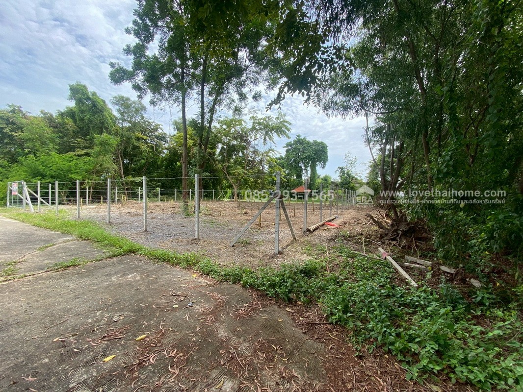 ขายที่ดิน หมู่บ้านเลคการ์เด้นวิลล์ รังสิต คลอง3 ซ.รังสิต-นครนายก68 พื้นที่ 155 ตรว. ด้านหลังติดเลค ใกล้โรงเรียนโชคชัยรังสิต