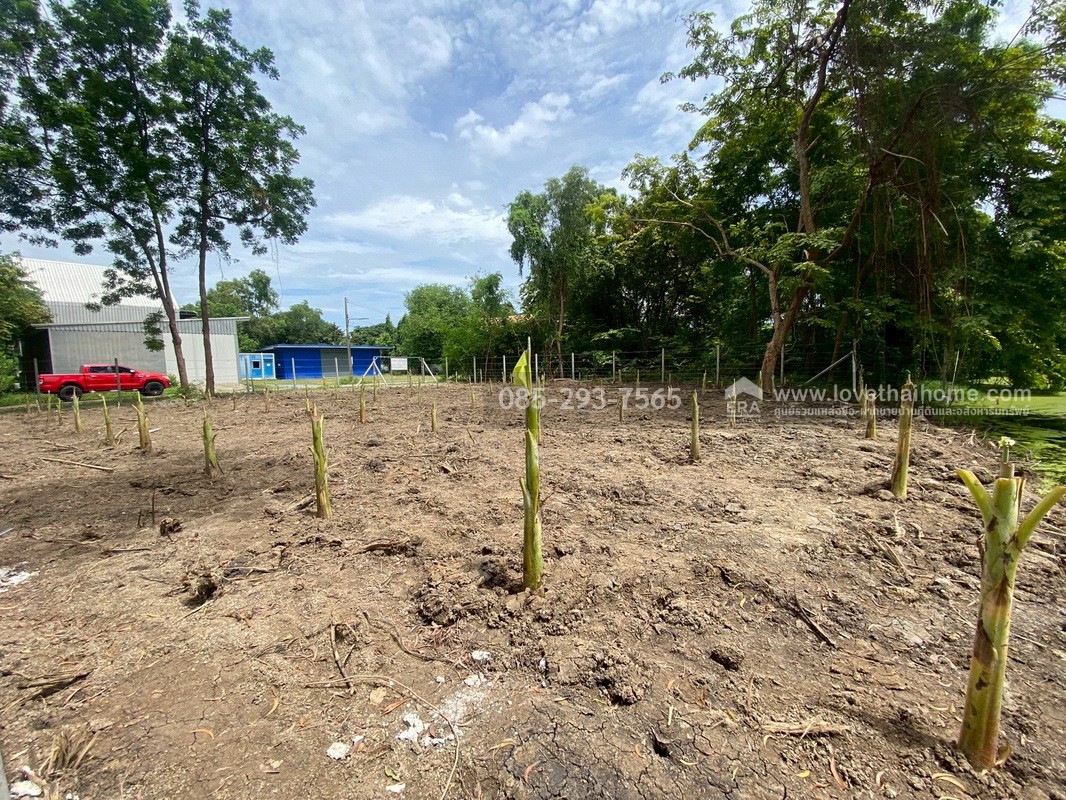 ขายที่ดิน หมู่บ้านเลคการ์เด้นวิลล์ รังสิต คลอง3 ซ.รังสิต-นครนายก68 พื้นที่ 155 ตรว. ด้านหลังติดเลค ใกล้โรงเรียนโชคชัยรังสิต