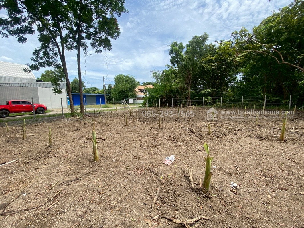 ขายที่ดิน หมู่บ้านเลคการ์เด้นวิลล์ รังสิต คลอง3 ซ.รังสิต-นครนายก68 พื้นที่ 155 ตรว. ด้านหลังติดเลค ใกล้โรงเรียนโชคชัยรังสิต