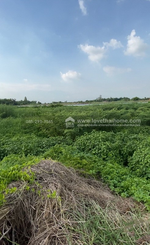 ขายที่ดิน ต.หัวไทร อ.บางคล้า จ.ฉะเชิงเทรา บนถนนทางหลวงชนบท ฉช.4023 ประมาณ กม.ที่10 ด้านหน้าติดถนนใหญ่ ด้านหลังติดคลองคูมอญ พื้นที่ 6-1-77 ไร่ ผังเมืองสีเขียวอ่อน ใกล้ม.ราชภัฏราชครินทร์, ตลาดน้ำบางคล้า