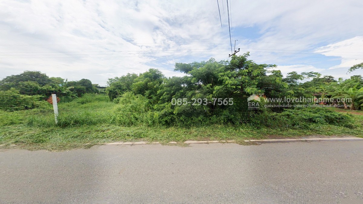 ขายที่ดิน ต.หัวไทร อ.บางคล้า จ.ฉะเชิงเทรา บนถนนทางหลวงชนบท ฉช.4023 ประมาณ กม.ที่10 ด้านหน้าติดถนนใหญ่ ด้านหลังติดคลองคูมอญ พื้นที่ 6-1-77 ไร่ ผังเมืองสีเขียวอ่อน ใกล้ม.ราชภัฏราชครินทร์, ตลาดน้ำบางคล้า