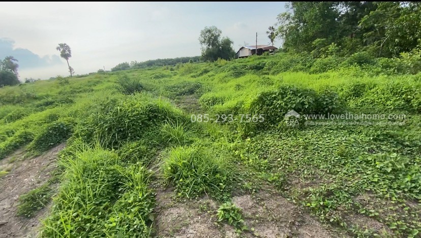 ขายที่ดิน ต.หัวไทร อ.บางคล้า จ.ฉะเชิงเทรา บนถนนทางหลวงชนบท ฉช.4023 ประมาณ กม.ที่10 ด้านหน้าติดถนนใหญ่ ด้านหลังติดคลองคูมอญ พื้นที่ 6-1-77 ไร่ ผังเมืองสีเขียวอ่อน ใกล้ม.ราชภัฏราชครินทร์, ตลาดน้ำบางคล้า