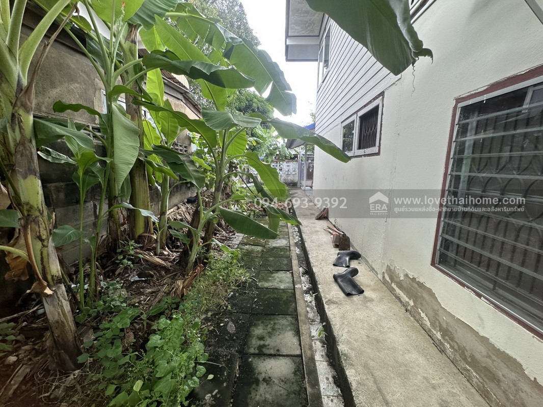 ขายบ้านเดี่ยว 2 ชั้น ซอยโกสุมรวมใจ40 แยก4 ทำเลทอง ย่านดอนเมือง พื้นที่ 66 ตรว. ใกล้ร.ร.นานาชาติฮาร์โรว์ดอนเมือง สังคมลูกดารา ดูก่อนมีสิทธิ์ก่อนค่ะ! คุ้มมากๆ!