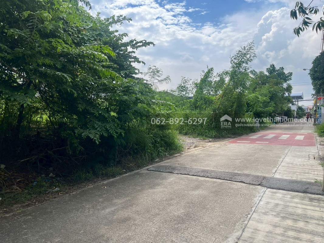 ขายที่ดิน ซอยเพชรเกษม77 ย่านบางแค-เพชรเกษม-หนองแขม แปลงสวย ขนาด 98 ตารางวา ถมแล้ว ทำเลดี ราคาคุ้มค่า หาไม่ได้อีกแล้วในย่านนี้!!