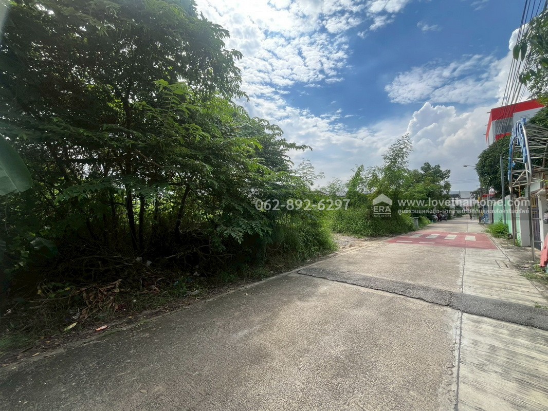 ขายที่ดิน ซอยเพชรเกษม77 ย่านบางแค-เพชรเกษม-หนองแขม แปลงสวย ขนาด 98 ตารางวา ถมแล้ว ทำเลดี ราคาคุ้มค่า หาไม่ได้อีกแล้วในย่านนี้!!