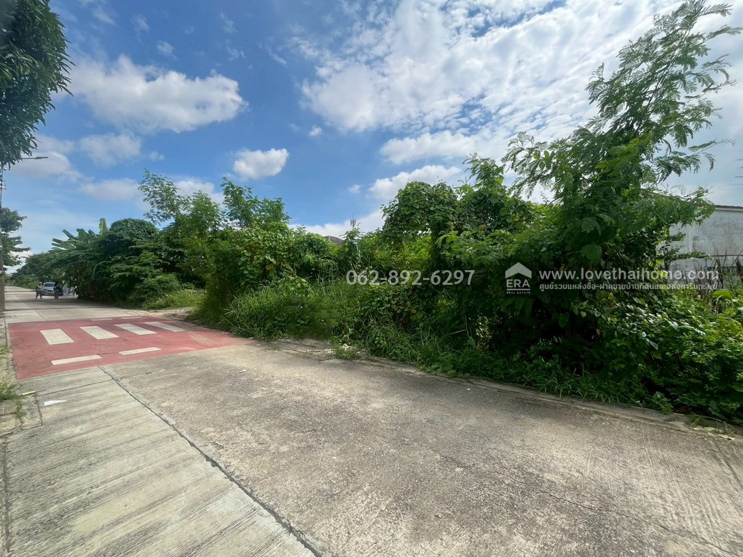 ขายที่ดิน ซอยเพชรเกษม77 ย่านบางแค-เพชรเกษม-หนองแขม แปลงสวย ขนาด 98 ตารางวา ถมแล้ว ทำเลดี ราคาคุ้มค่า หาไม่ได้อีกแล้วในย่านนี้!!