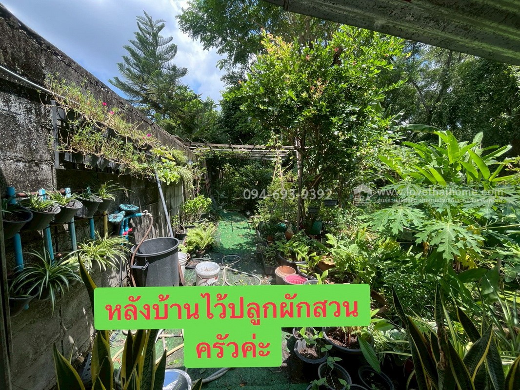 ขายบ้านเดี่ยว 2 ชั้น หมู่บ้านฟลอร่าวิลล์ พาร์คโฮม ซอยสุวินทวงศ์38 พื้นที่ 54.3 ตรว. บ้านสวย แปลงมุม ส่วนตัว มีแปลงปลูกผักสวนครัวส่วนตัว พิเศษสุดๆ ลดสุดๆ คุ้มสุดในหมู่บ้านนี้ค่ะ