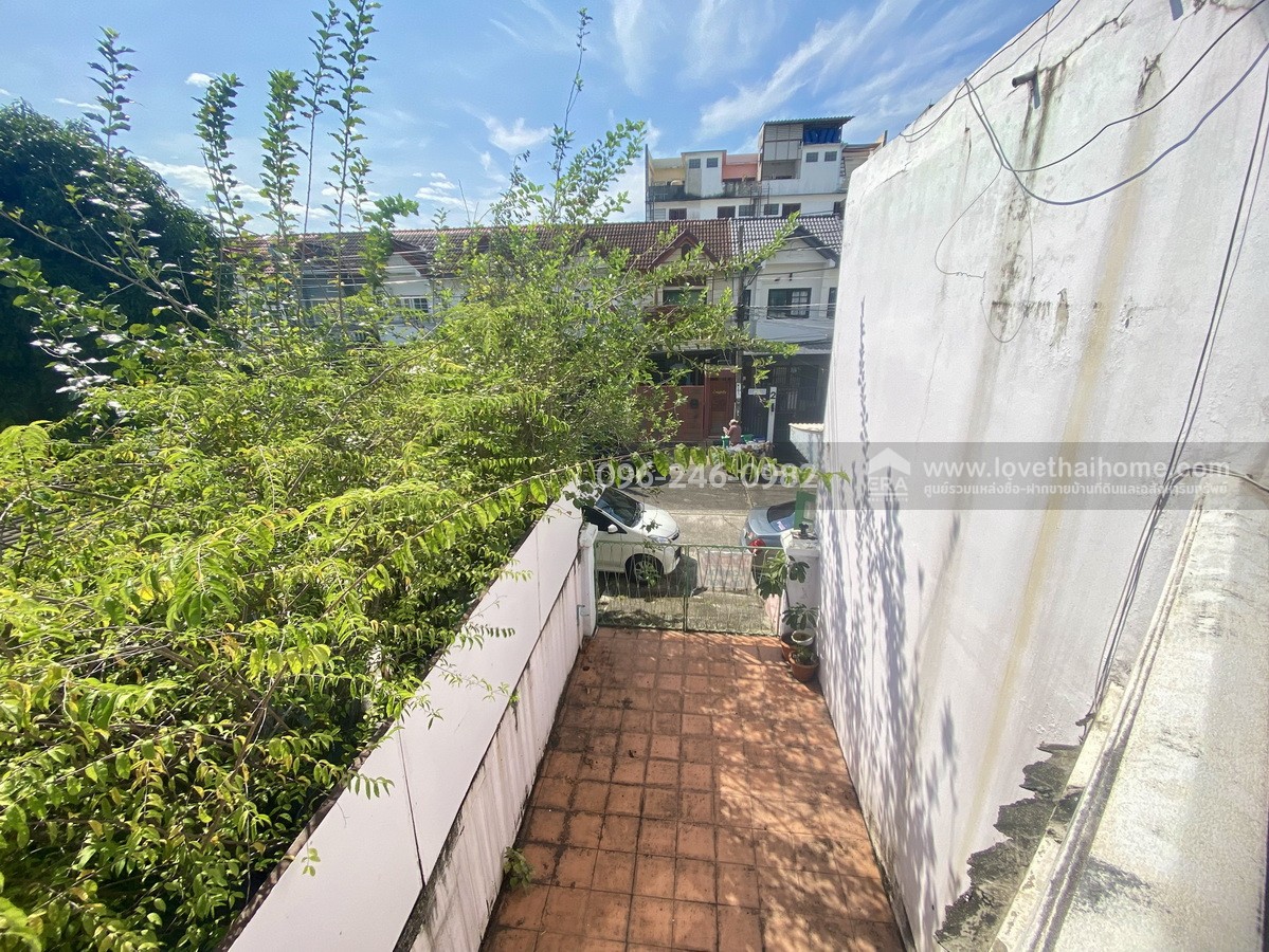 ขายบ้านแฝด โชคชัย 4 ซอย 64 หมู่บ้านราชาวิลล่า 2 ลาดพร้าว บ้านต้นซอย พื้นที่ 43 ตร.วา ทำเลดี ถนนในหมู่บ้านกว้าง เหมาะกับครอบครัวใหญ่