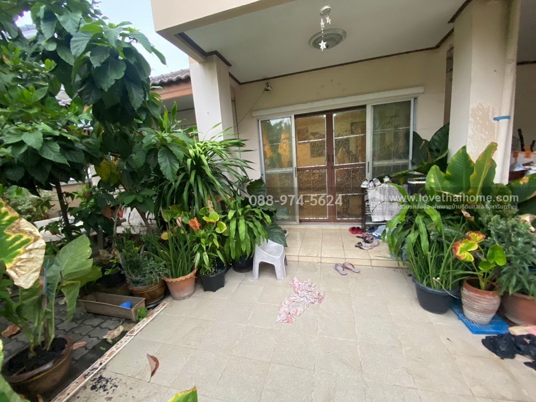 ขายบ้านเดี่ยว หมู่บ้านซื่อตรง รังสิต-คลอง 3 (ธัญบุรี) 52.5 ตร.วา พื้นที่ใช้สอยกว้างขวาง ติดถนนใหญ่รังสิต-นครนายก ขายบ้านเดี่ยว หมู่บ้านซื่อตรง รังสิต-คลอง 3 (ธัญบุรี) 52.5 ตร.วา พื้นที่ใช้สอยกว้างขวาง ติดถนนใหญ่รังสิต-นครนายก