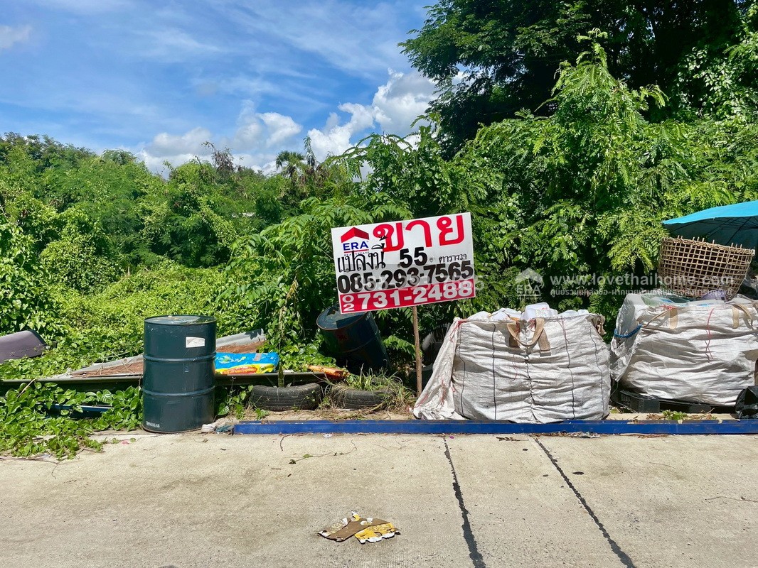 ขายถูกที่ดิน ลำลูกกา คลอง9 ซอยลำลูกกา181 (ซอยร่วมใจ1) พื้นที่ 55 ตารางวา แปลงสี่เหลี่ยมผืนผ้าสวย เหมาะสร้างบ้าน