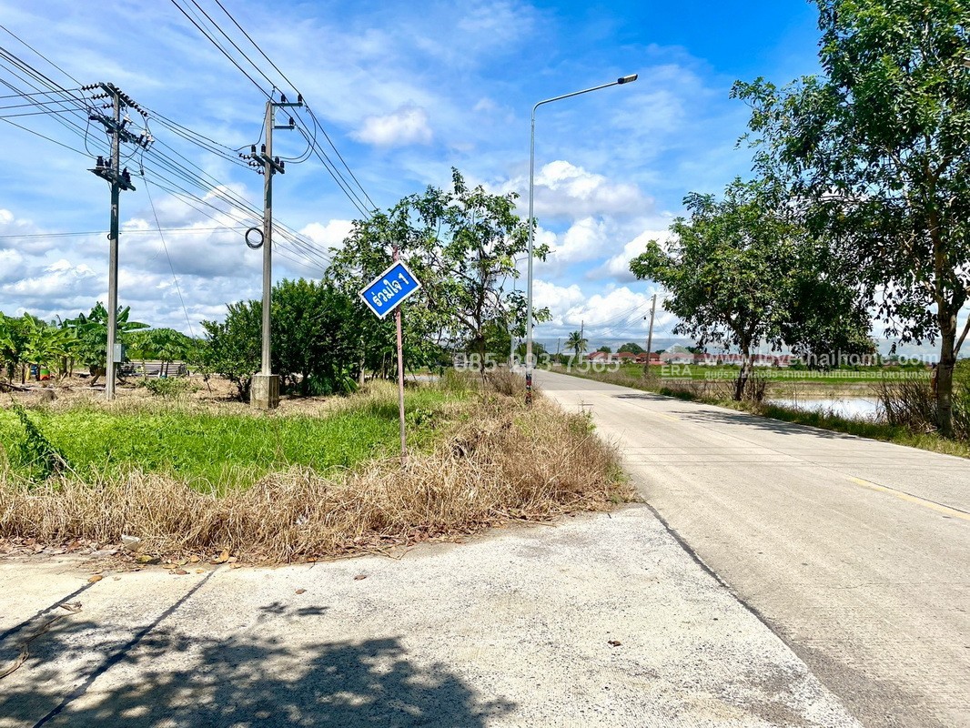 ขายถูกที่ดิน ลำลูกกา คลอง9 ซอยลำลูกกา181 (ซอยร่วมใจ1) พื้นที่ 55 ตารางวา แปลงสี่เหลี่ยมผืนผ้าสวย เหมาะสร้างบ้าน