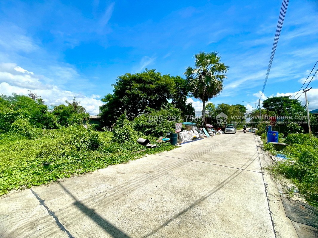 ขายถูกที่ดิน ลำลูกกา คลอง9 ซอยลำลูกกา181 (ซอยร่วมใจ1) พื้นที่ 55 ตารางวา แปลงสี่เหลี่ยมผืนผ้าสวย เหมาะสร้างบ้าน