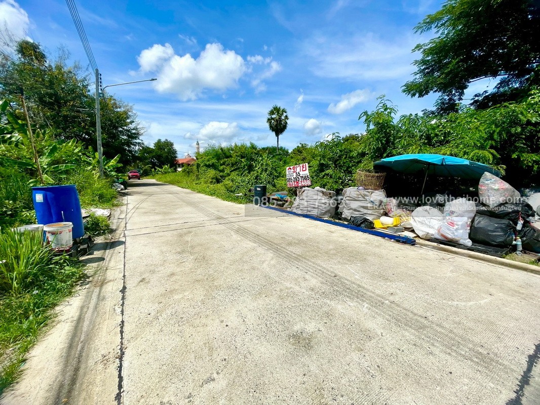 ขายถูกที่ดิน ลำลูกกา คลอง9 ซอยลำลูกกา181 (ซอยร่วมใจ1) พื้นที่ 55 ตารางวา แปลงสี่เหลี่ยมผืนผ้าสวย เหมาะสร้างบ้าน