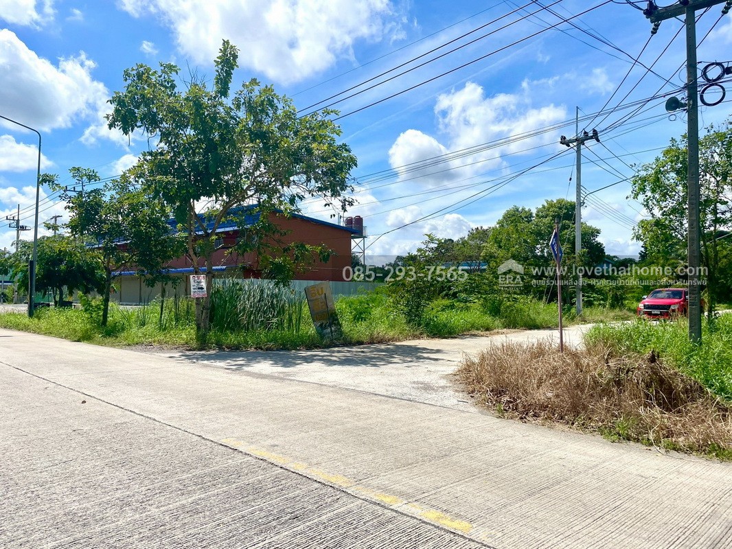 ขายถูกที่ดิน ลำลูกกา คลอง9 ซอยลำลูกกา181 (ซอยร่วมใจ1) พื้นที่ 55 ตารางวา แปลงสี่เหลี่ยมผืนผ้าสวย เหมาะสร้างบ้าน