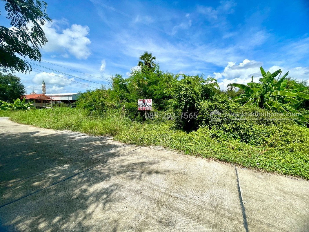 ขายถูกที่ดิน ลำลูกกา คลอง9 ซอยลำลูกกา181 (ซอยร่วมใจ1) พื้นที่ 56 ตารางวา แปลงสี่เหลี่ยมผืนผ้าสวย เหมาะสร้างบ้าน