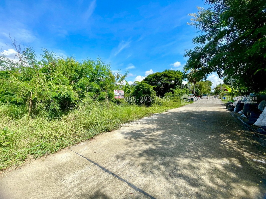 ขายถูกที่ดิน ลำลูกกา คลอง9 ซอยลำลูกกา181 (ซอยร่วมใจ1) พื้นที่ 56 ตารางวา แปลงสี่เหลี่ยมผืนผ้าสวย เหมาะสร้างบ้าน