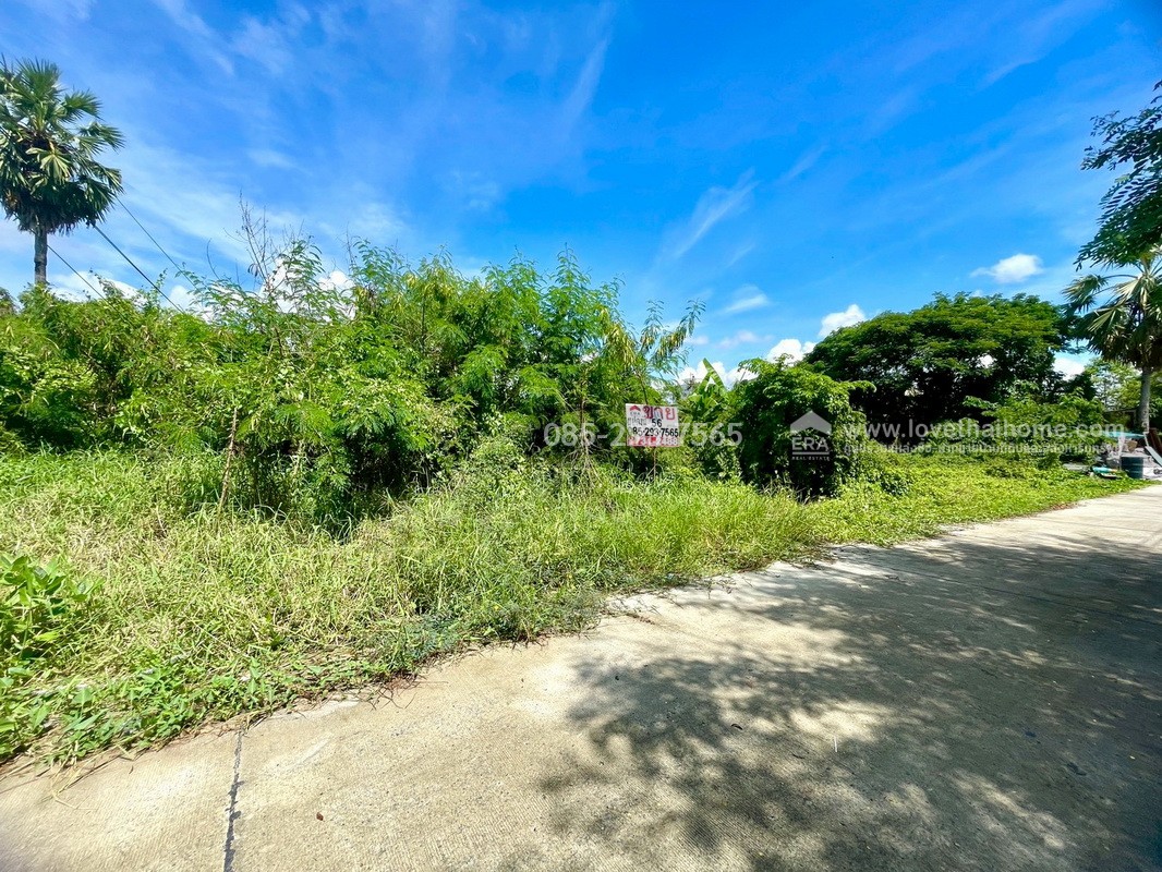 ขายถูกที่ดิน ลำลูกกา คลอง9 ซอยลำลูกกา181 (ซอยร่วมใจ1) พื้นที่ 56 ตารางวา แปลงสี่เหลี่ยมผืนผ้าสวย เหมาะสร้างบ้าน