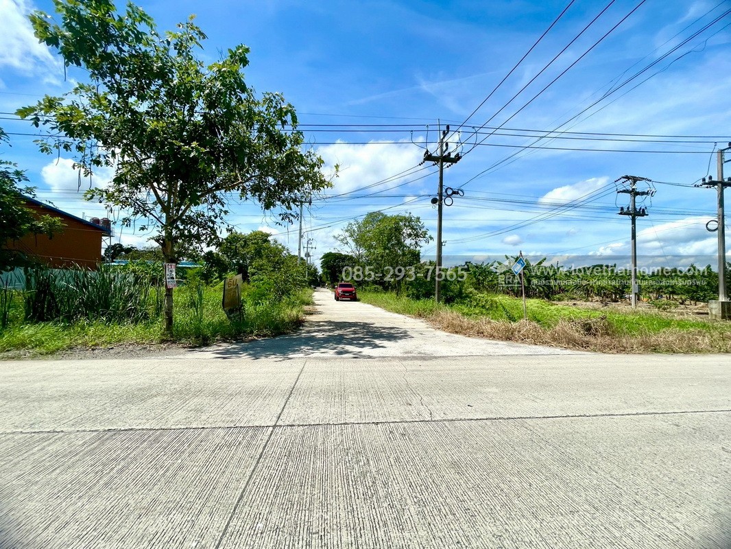 ขายถูกที่ดิน ลำลูกกา คลอง9 ซอยลำลูกกา181 (ซอยร่วมใจ1) พื้นที่ 56 ตารางวา แปลงสี่เหลี่ยมผืนผ้าสวย เหมาะสร้างบ้าน