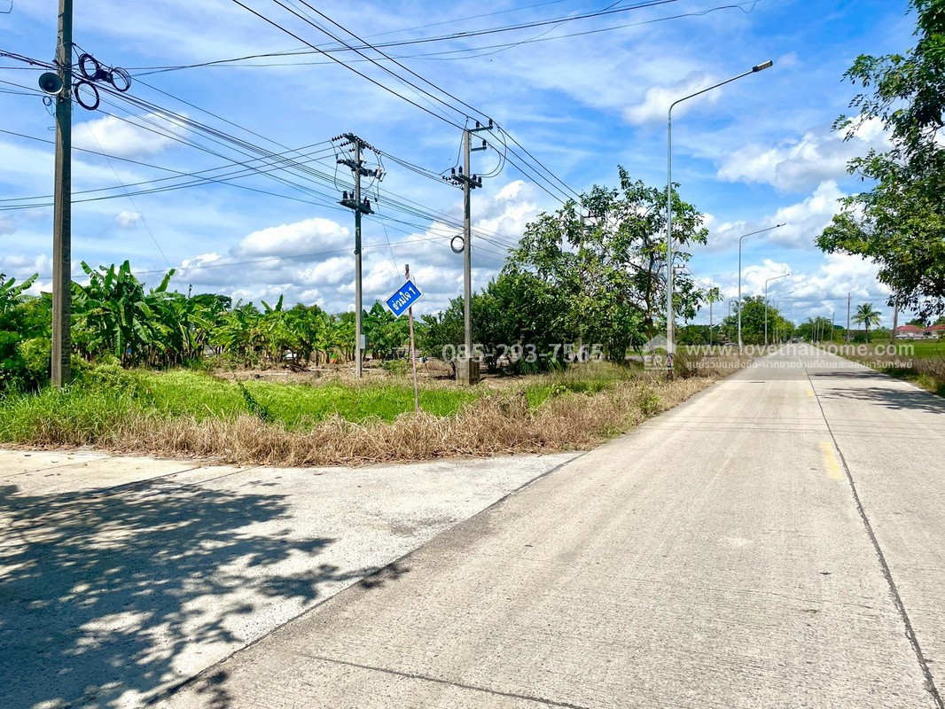 ขายถูกที่ดิน ลำลูกกา คลอง9 ซอยลำลูกกา181 (ซอยร่วมใจ1) พื้นที่ 56 ตารางวา แปลงสี่เหลี่ยมผืนผ้าสวย เหมาะสร้างบ้าน