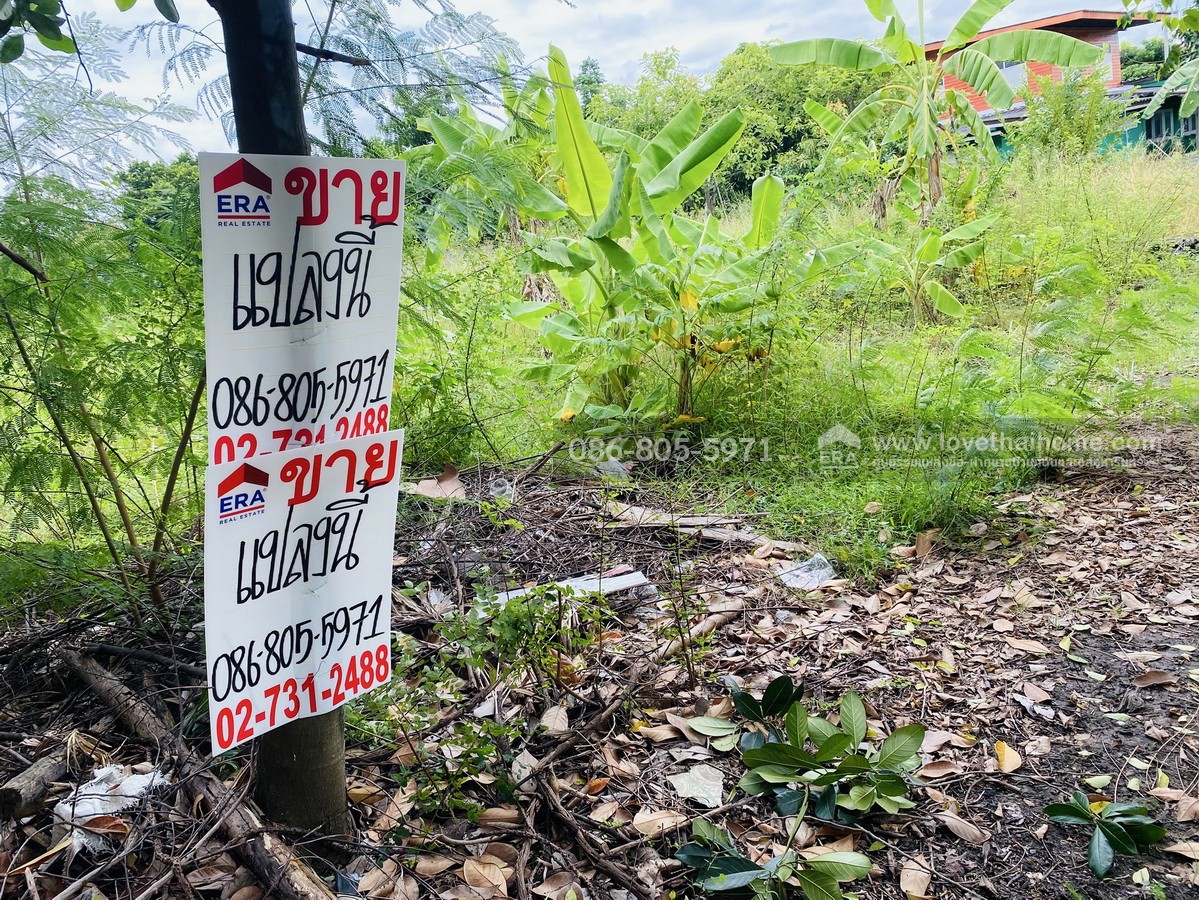 ขายที่ดินวัชรพล 3 ย่านสายไหม ริมคลอง 150 ตร.วา ถูกกว่าราคาประเมินกรมที่ดิน หาไม่ได้ง่ายในย่านนี้ เหมาะซื้อเก็บหรือลงทุนระยะยาว