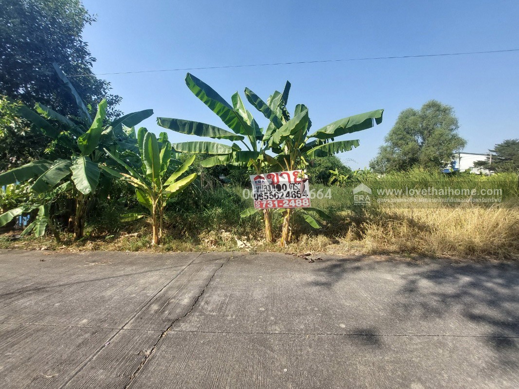 ขายที่ดินย่านรังสิต-นครนายก คลอง4 ซอยสุสวาส19 พื้นที่100ตรว.ราคาเพียงแค่1.45ล้านเท่านั้น รับประกันเลยว่าหาราคาถูกเท่านี้ไม่มีอย่างแน่นอน พูดได้คำเดียวว่า ต้องรีบซื้อ รีบซื้อ 