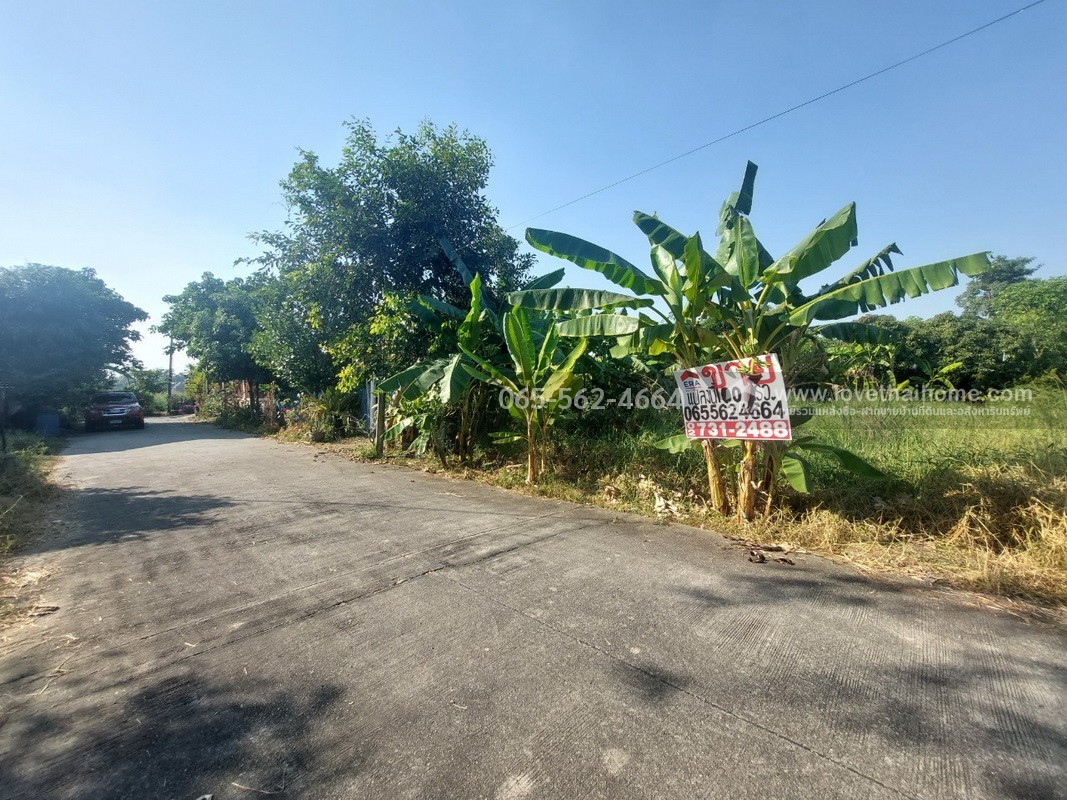 ขายที่ดินย่านรังสิต-นครนายก คลอง4 ซอยสุสวาส19 พื้นที่100ตรว.ราคาเพียงแค่1.45ล้านเท่านั้น รับประกันเลยว่าหาราคาถูกเท่านี้ไม่มีอย่างแน่นอน พูดได้คำเดียวว่า ต้องรีบซื้อ รีบซื้อ 