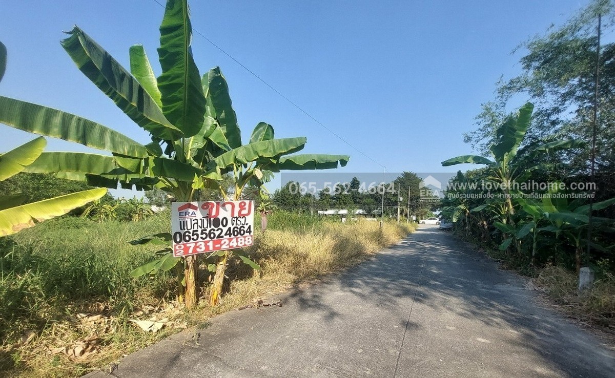 ขายที่ดินย่านรังสิต-นครนายก คลอง4 ซอยสุสวาส19 พื้นที่100ตรว.ราคาเพียงแค่1.45ล้านเท่านั้น รับประกันเลยว่าหาราคาถูกเท่านี้ไม่มีอย่างแน่นอน พูดได้คำเดียวว่า ต้องรีบซื้อ รีบซื้อ 