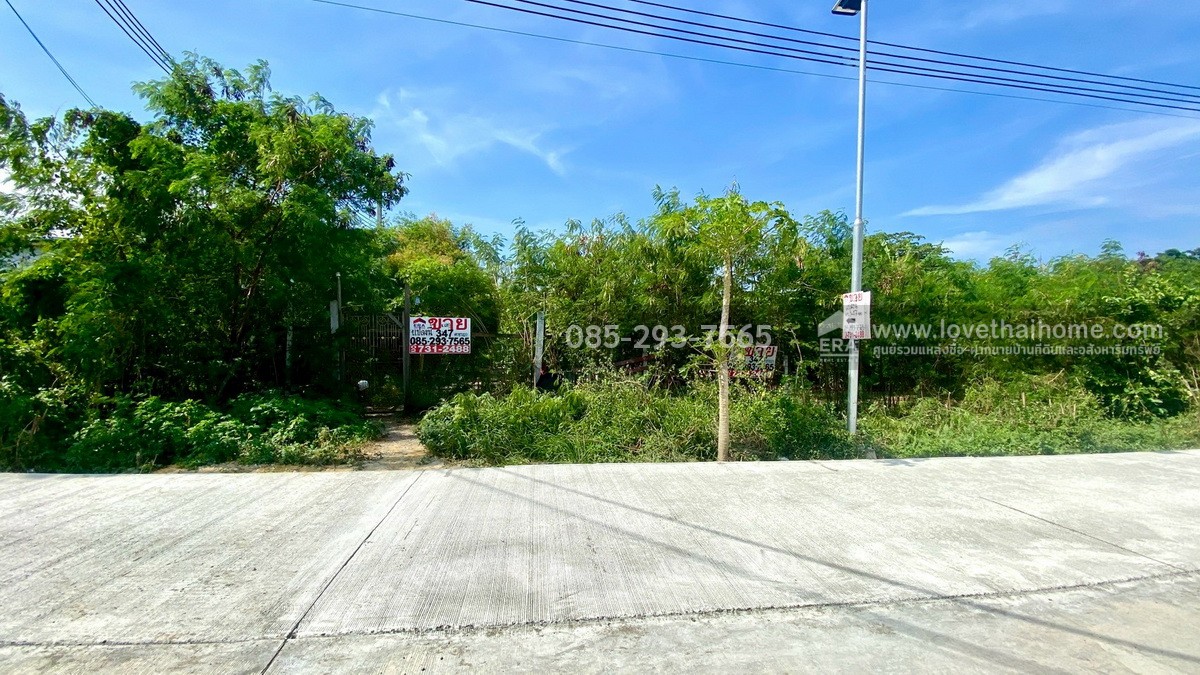 ขายที่ดิน ซอยวัดลาดปลาดุก ติดถนนเลียบคลองตาชม พื้นที่ 347 ตารางวา ทำเลดี ใกล้รถไฟฟ้าคลองบางไผ่