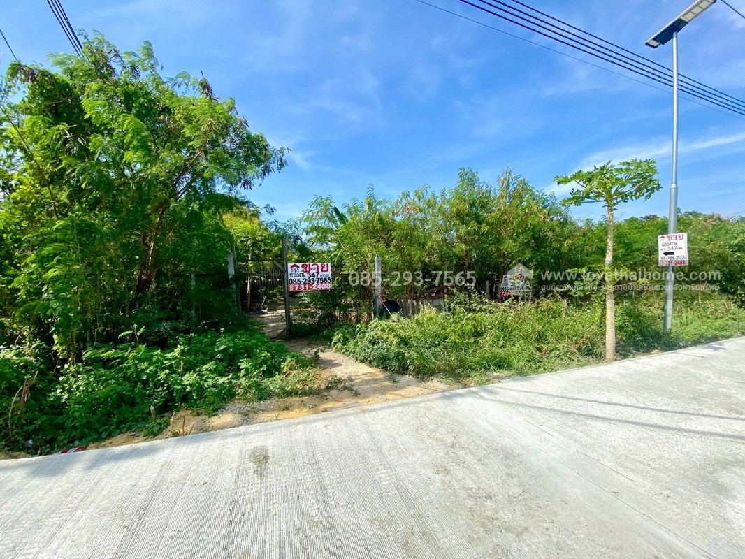 ขายที่ดิน ซอยวัดลาดปลาดุก ติดถนนเลียบคลองตาชม พื้นที่ 347 ตารางวา ทำเลดี ใกล้รถไฟฟ้าคลองบางไผ่