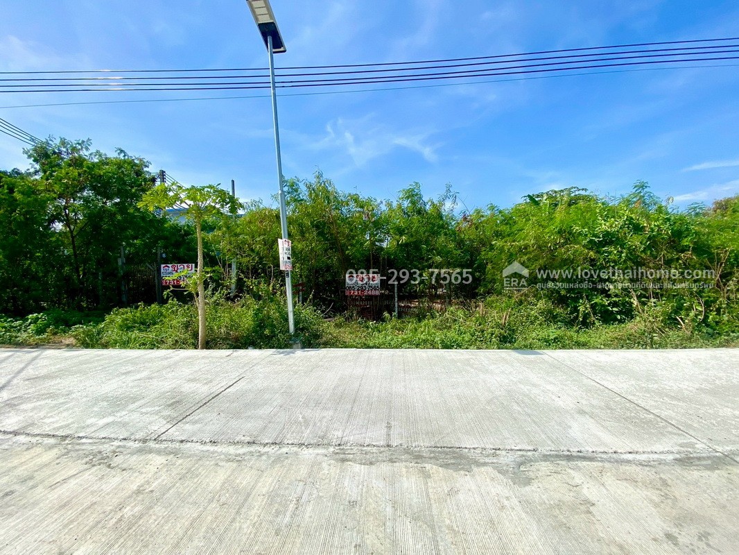 ขายที่ดิน ซอยวัดลาดปลาดุก ติดถนนเลียบคลองตาชม พื้นที่ 347 ตารางวา ทำเลดี ใกล้รถไฟฟ้าคลองบางไผ่