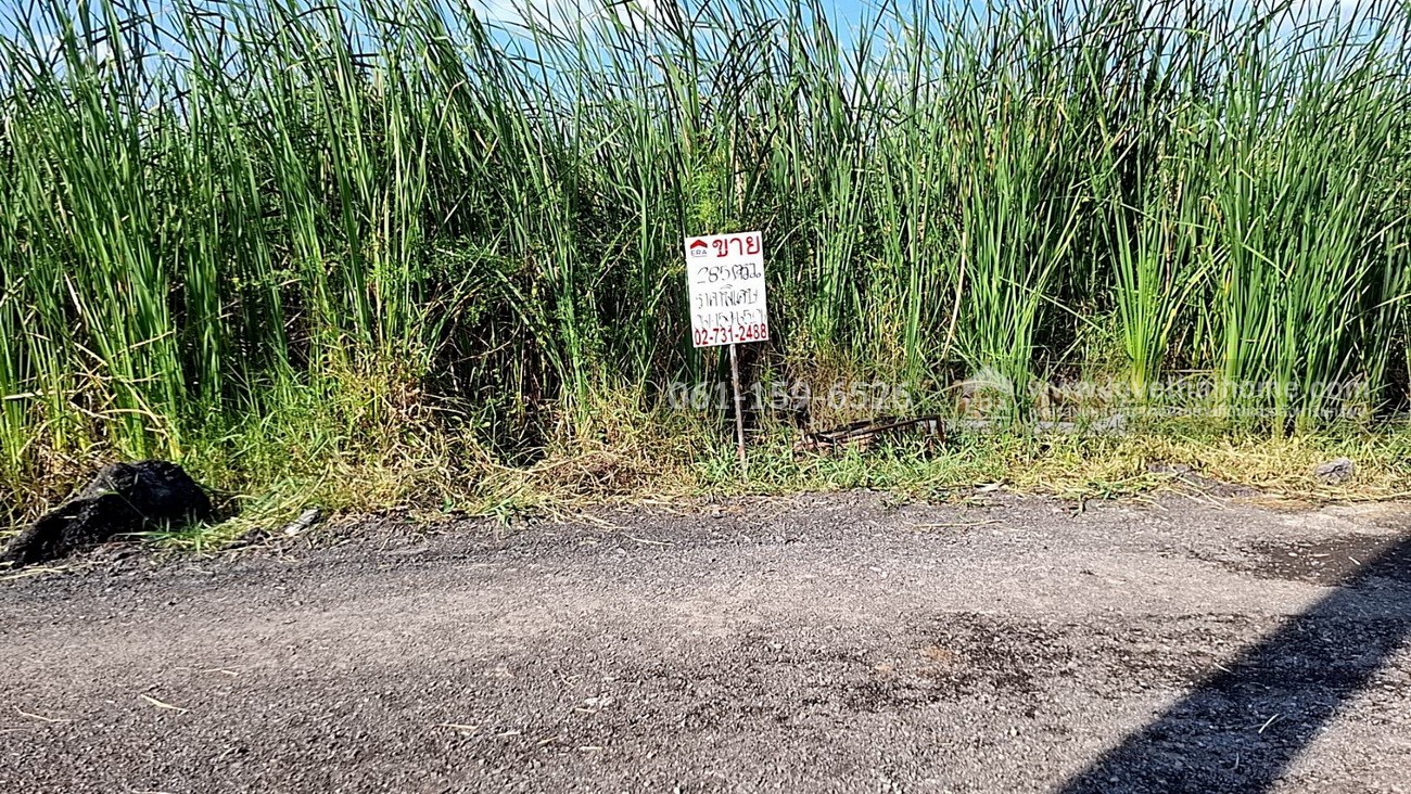 ขายที่ดิน บงกช55 คลองหลวง ปทุมธานี ใกล้ถนนรังสิต-นครนายก 31 เลียบคลองสอง พื้นที่ 285 ตร.วา ขายถูกที่สุดในซอยนี้ แปลงสี่เหลี่ยมผืนผ้าสวย เหมาะปลูกบ้าน-สำนักงาน และโกดัง