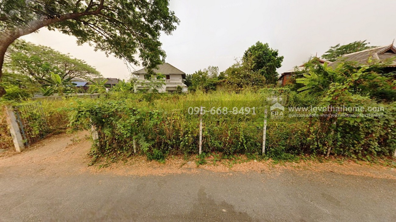 ขายที่ดิน หนองจ๊อม สันทราย เชียงใหม่ 150 ตร.วา ถมแล้ว เหมาะสร้างบ้าน ทำเลดี ในซอยหมู่บ้านบ้านภูดอย