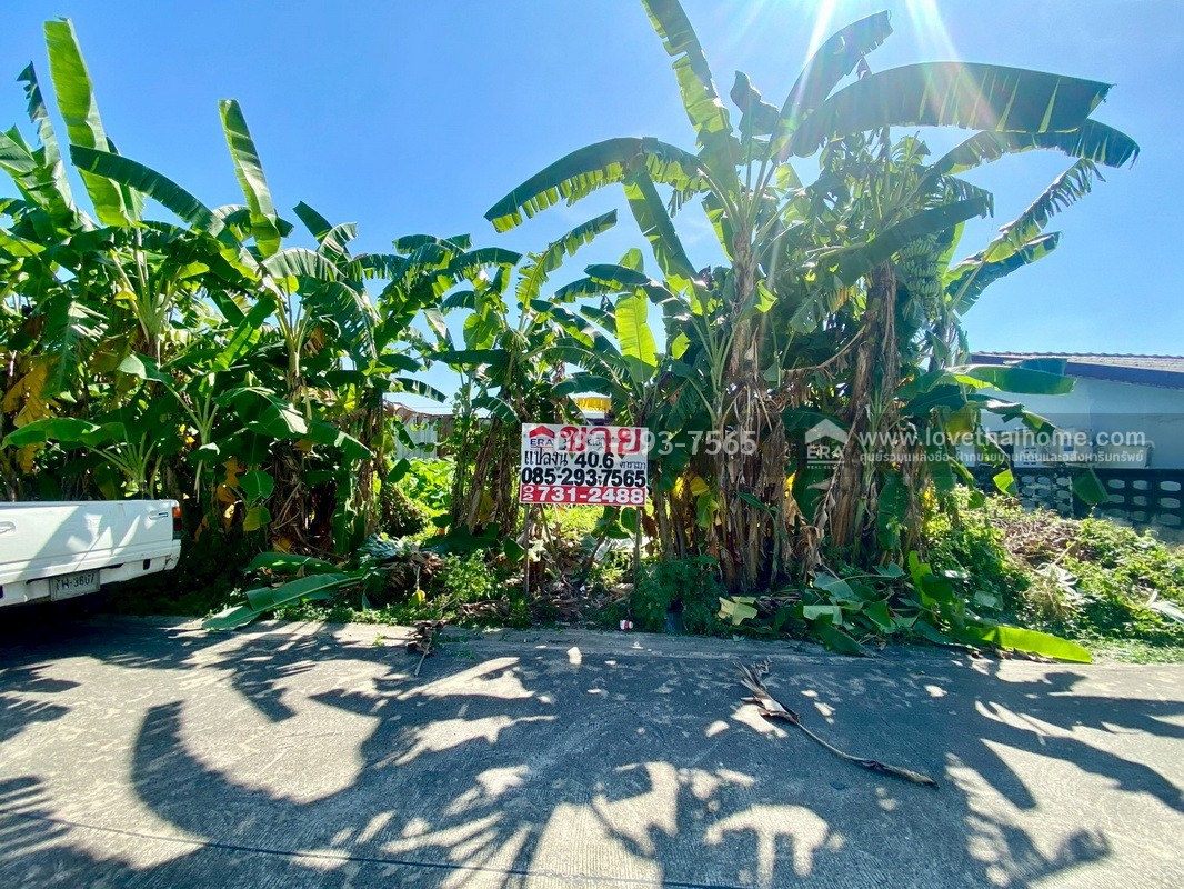 ขายที่ดิน ถนนสุขาภิบาล5 ซอย34 สายไหม แปลงสวย พื้นที่ 40.6 ตารางวา แปลงเล็กๆแต่ทำเลดีมาก เข้าซอยเพียง 300 เมตร ใกล้จุดขึ้น-ลงทางด่วนสุขาภิบาล5