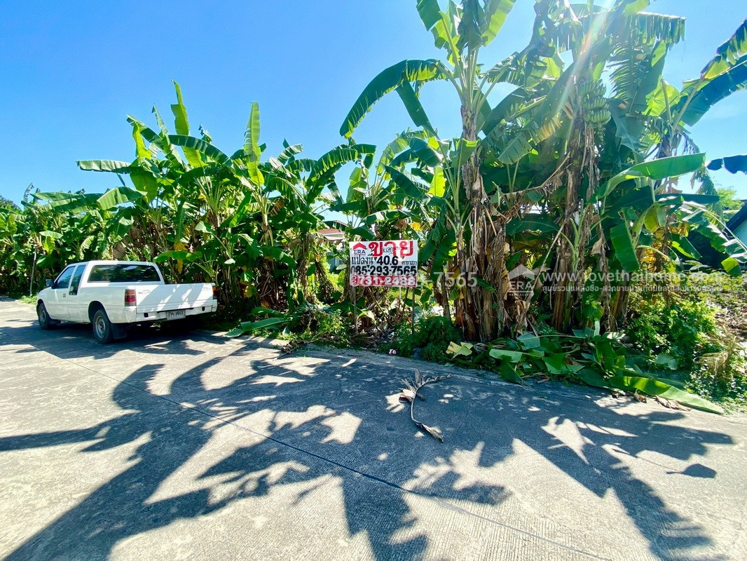 ขายที่ดิน ถนนสุขาภิบาล5 ซอย34 สายไหม แปลงสวย พื้นที่ 40.6 ตารางวา แปลงเล็กๆแต่ทำเลดีมาก เข้าซอยเพียง 300 เมตร ใกล้จุดขึ้น-ลงทางด่วนสุขาภิบาล5