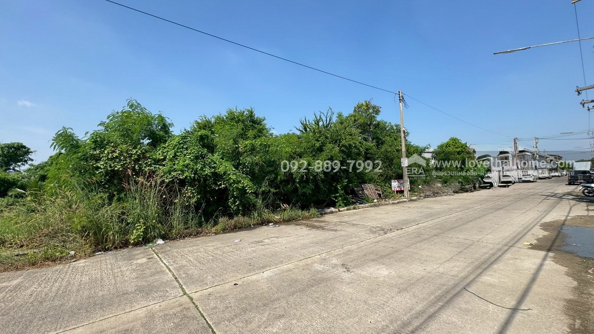 ขายที่ดิน ถนนโคกขาม สมุทรสาคร แปลงสวย พื้นที่ 200 ตรว. ราคาถูก ใกล้อบต.โคกขาม เหมาะลงทุน