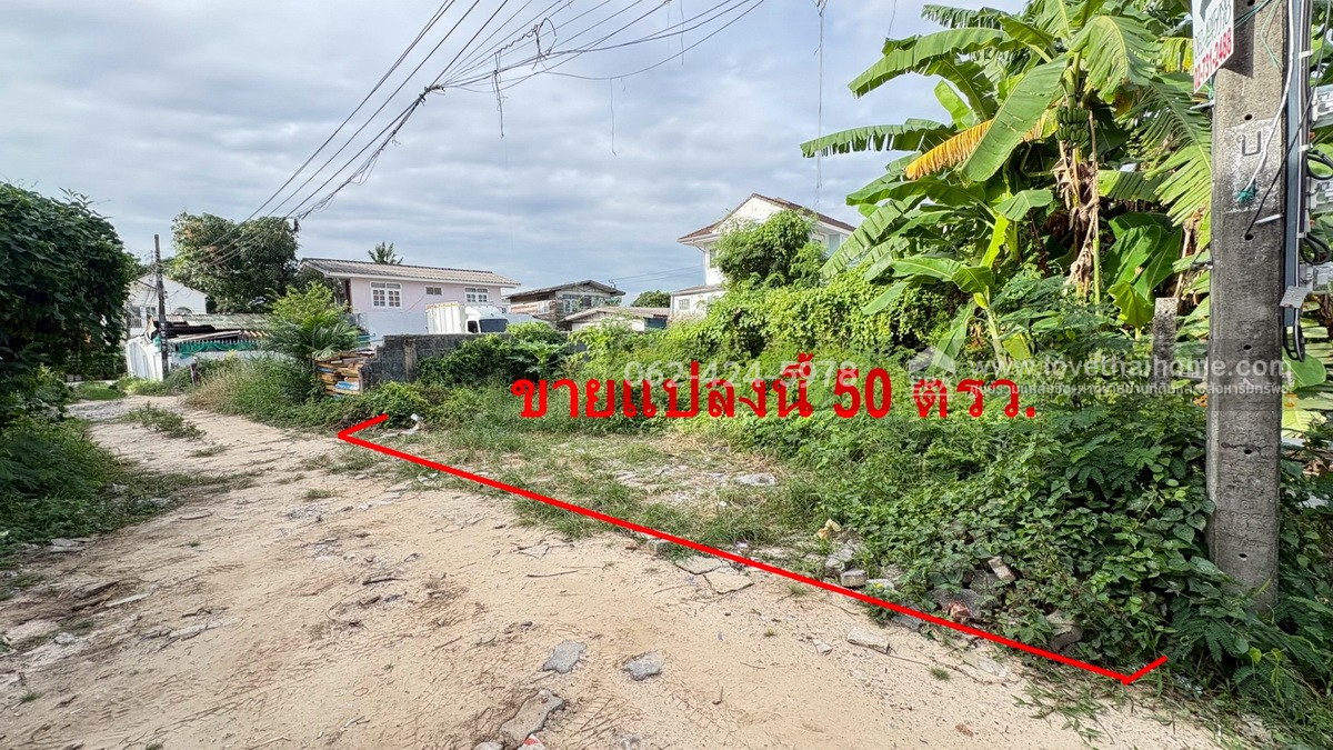 ขายที่ดิน ถนนเฉลิมพระเกียรติ ร.9 ซอย61 เนื้อที่ 50 ตรว. เหมาะปลูกบ้าน ใกล้โรงเรียนอนุบาลปาลินา