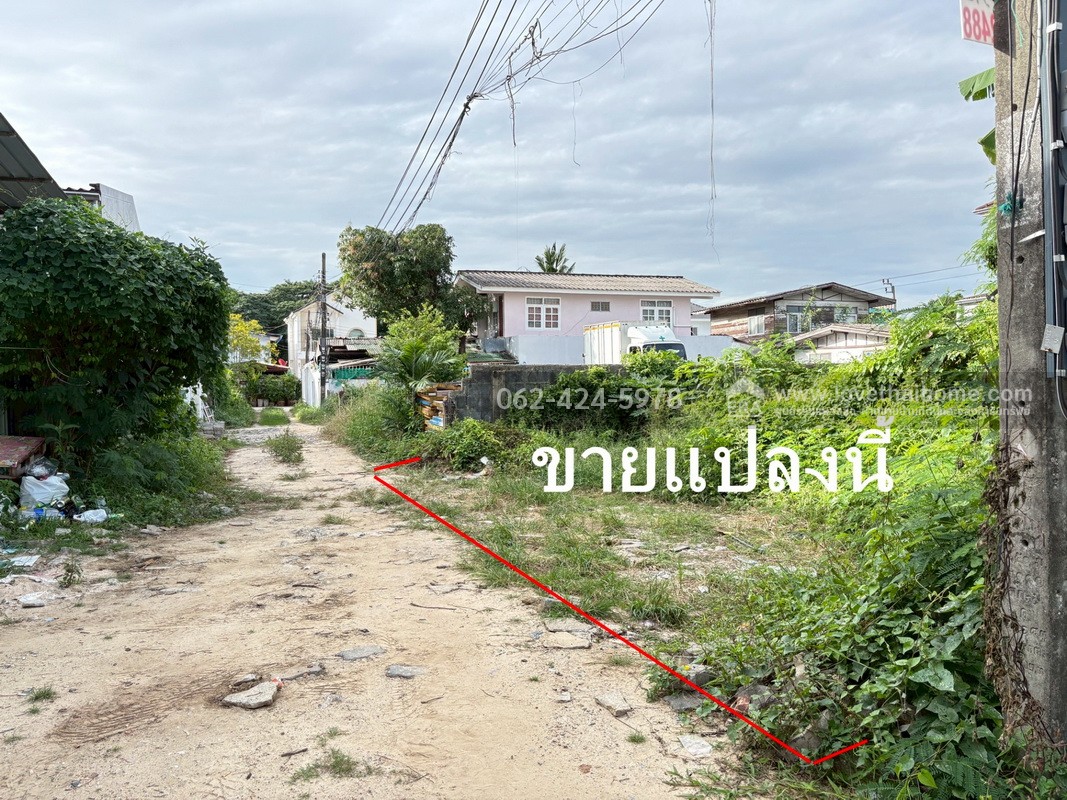 ขายที่ดิน ถนนเฉลิมพระเกียรติ ร.9 ซอย61 เนื้อที่ 50 ตรว. เหมาะปลูกบ้าน ใกล้โรงเรียนอนุบาลปาลินา