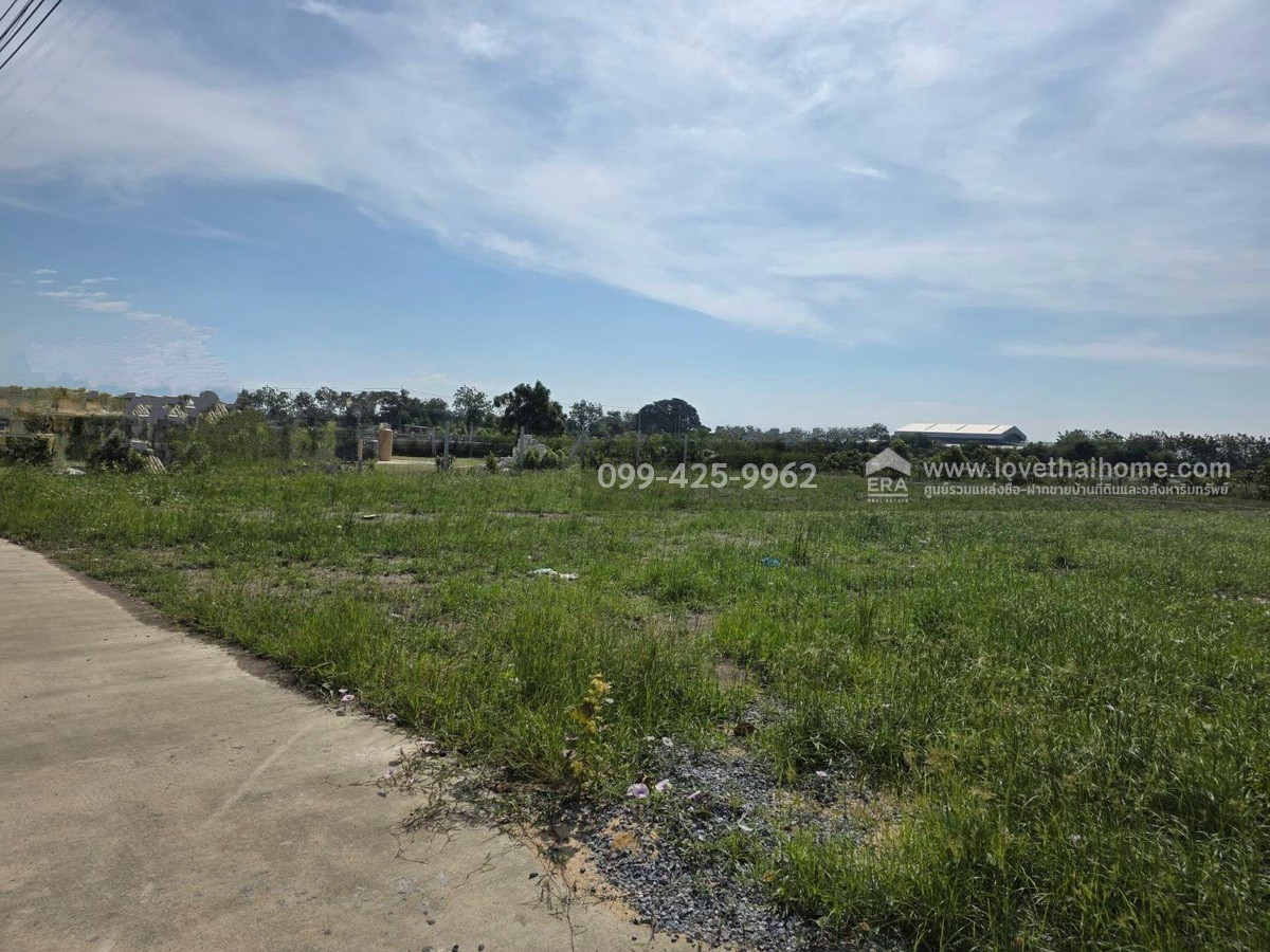 ขายที่ดิน ต.ไทรใหญ่ อ.ไทรน้อย จ.นนทบุรี โครงการเลดี้แลนด์ 25 พื้นที่ 200 ตร.วา ที่ดินถมแล้ว พร้อมสร้างบ้านพั-สร้างโกดัง หรือซื้อเพื่อเก็งกำไร