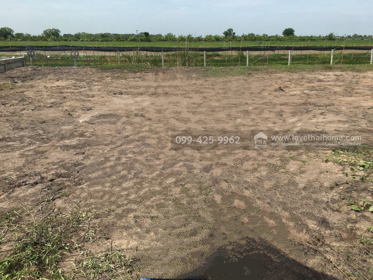 ขายที่ดิน ต.ไทรใหญ่ อ.ไทรน้อย จ.นนทบุรี โครงการเลดี้แลนด์ 25 พื้นที่ 200 ตร.วา ที่ดินถมแล้ว พร้อมสร้างบ้านพั-สร้างโกดัง หรือซื้อเพื่อเก็งกำไร