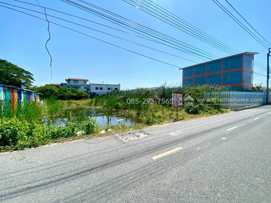 ขายที่ดิน ซอยหล่อพระ ถนนบางกรวย-ไทรน้อย บางบัวทอง พื้นที่ 100 ตารางวา ใกล้สำนักงานเทศบาลเมืองใหม่บางบัวทอง