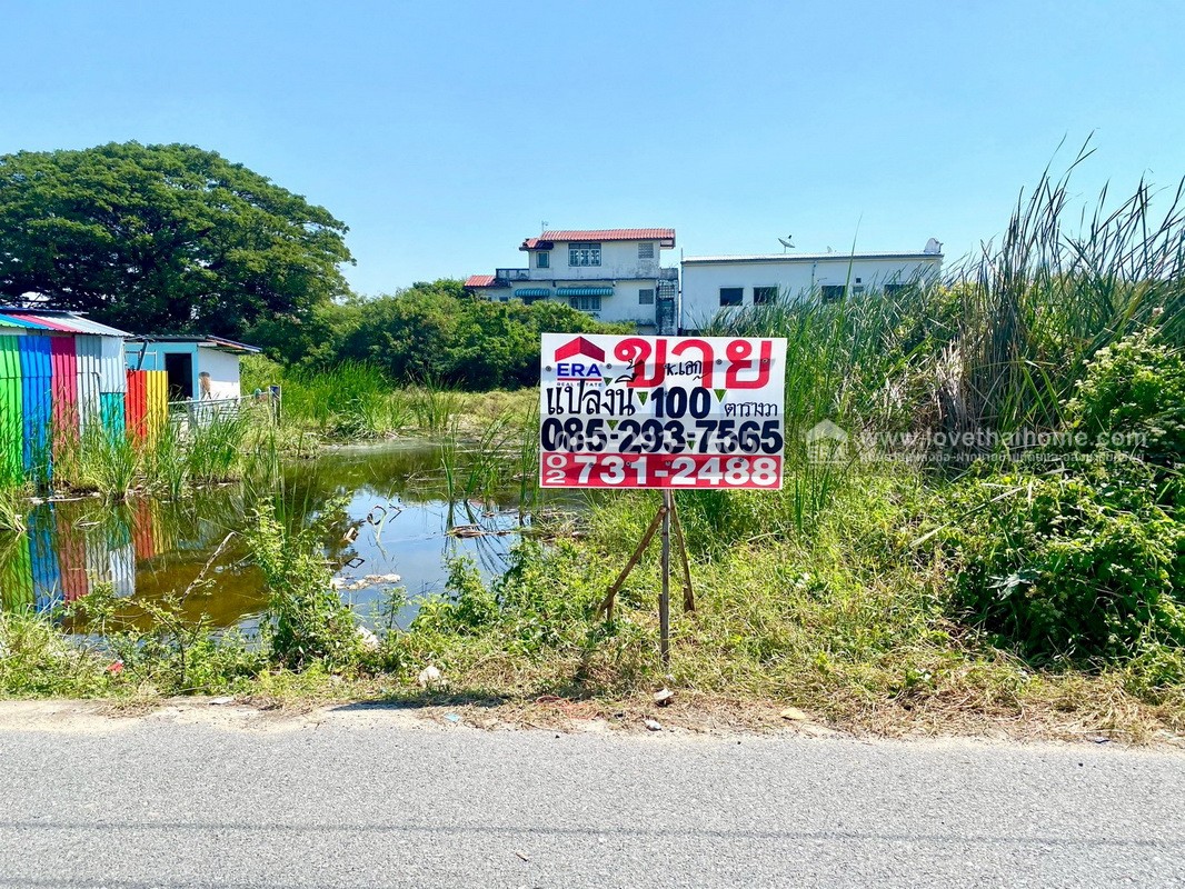 ขายที่ดิน ซอยหล่อพระ ถนนบางกรวย-ไทรน้อย บางบัวทอง พื้นที่ 100 ตารางวา ใกล้สำนักงานเทศบาลเมืองใหม่บางบัวทอง