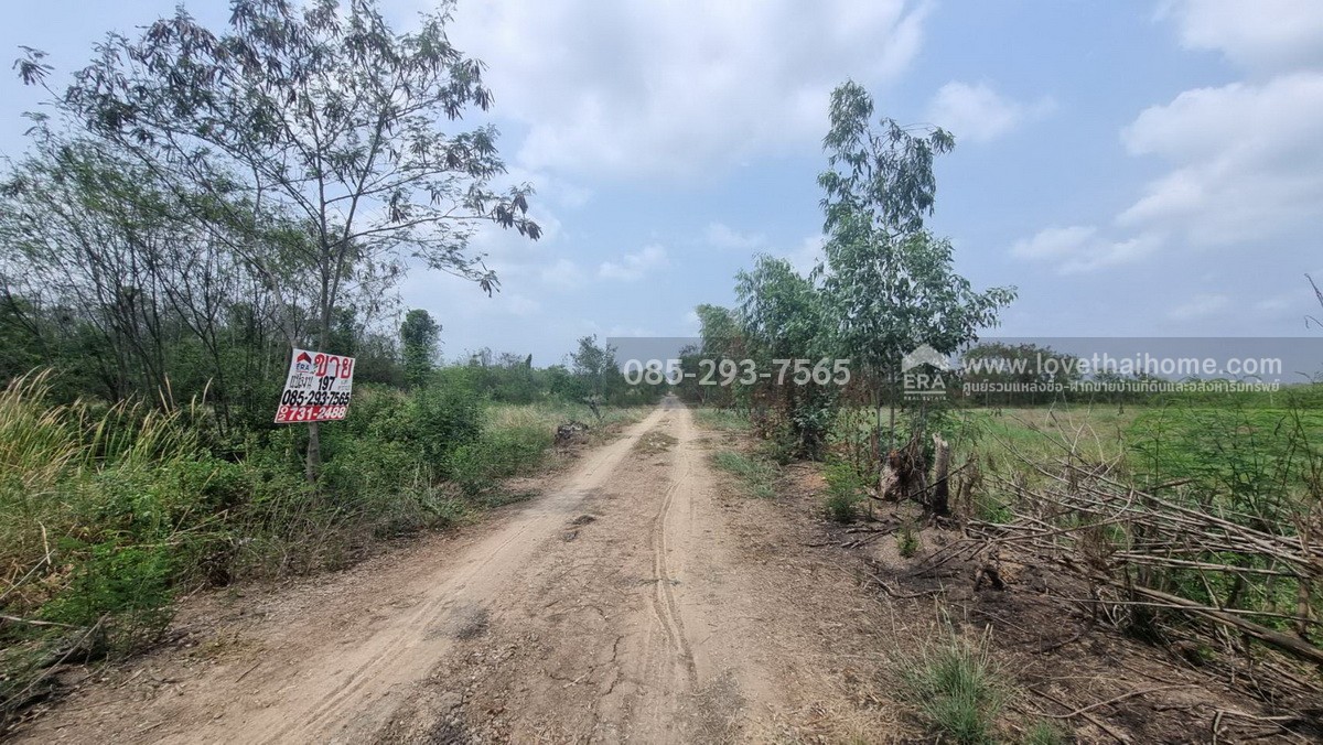 ขายที่ดิน ถนนกรุงนนท์-จงถนอม ซอยศรีกมล ต.คลองโยง อ.พุทธมณฑล นครปฐม พื้นที่ 197 ตารางวา ขาย 1.1 ล้านบาท ใกล้มหาวิทยาลัยราชภัฎสวนสุนันทา