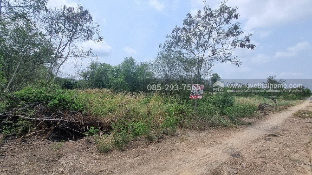 ขายที่ดิน ถนนกรุงนนท์-จงถนอม ซอยศรีกมล ต.คลองโยง อ.พุทธมณฑล นครปฐม พื้นที่ 197 ตารางวา ขาย 1.1 ล้านบาท ใกล้มหาวิทยาลัยราชภัฎสวนสุนันทา