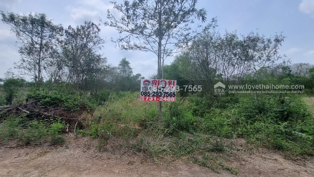 ขายที่ดิน ถนนกรุงนนท์-จงถนอม ซอยศรีกมล ต.คลองโยง อ.พุทธมณฑล นครปฐม พื้นที่ 197 ตารางวา ขาย 1.1 ล้านบาท ใกล้มหาวิทยาลัยราชภัฎสวนสุนันทา