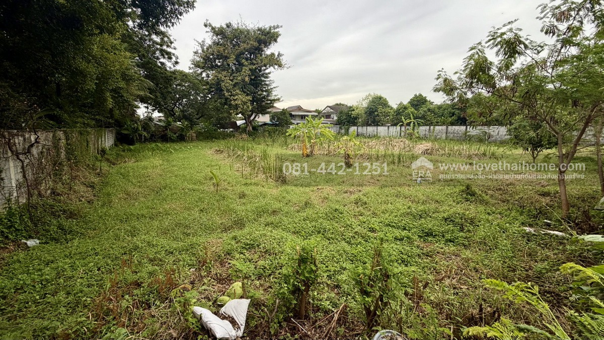 ขายที่ดิน ถนนนนทบุรี46 ซอยไทยานนท์3 พื้นที่ 404 ตรว. ขาย 68,000 บาท/ตรว. ทำเลรถไฟฟ้าสายสีชมพู สถานีสนามบินน้ำ และ รถไฟฟ้าสายสีม่วง สถานีศูนย์ราชการนนทบุรี