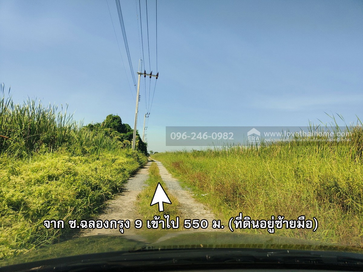 ขายที่ดินเปล่า ฉลองกรุง ซ.9 ลาดกระบัง พื้นที่101ตรว. ขายเท่าราคาประเมิน เพียงแค่1,199,981บาทเท่านั้น รีบเลยก่อนพลาดราคาดีๆแบบนี้