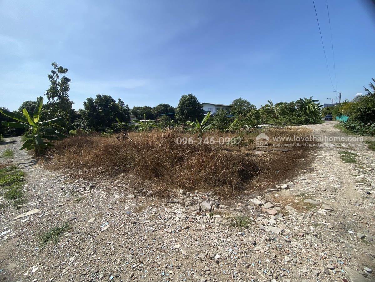 ขายที่ดินถมแล้ว ร่มเกล้า21/3 ลาดกระบัง พื้นที่200ตรว. ราคาไม่แพงขายเพียง3.5ล้านบาท บรรยากาศดีติดคลอง เหมาะสำหรับสร้างที่พักอาศัยหรือทำโกดังเก็บของ