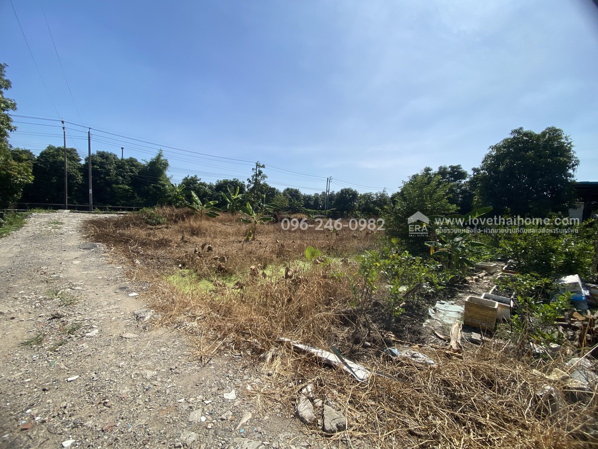ขายที่ดินถมแล้ว ร่มเกล้า21/3 ลาดกระบัง พื้นที่200ตรว. ราคาไม่แพงขายเพียง3.5ล้านบาท บรรยากาศดีติดคลอง เหมาะสำหรับสร้างที่พักอาศัยหรือทำโกดังเก็บของ