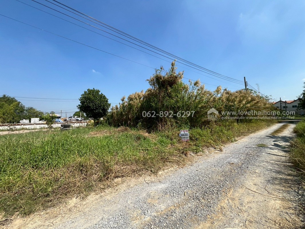 ขายที่ดินสวย บางบัวทอง ซอยวัดลาดปลาดุก โอกาสทองที่ห้ามพลาด ที่ดินถมแล้ว พื้นที่ 100 ตรว. แปลงสวยติดถนน ราคาพิเศษ 15,000 บาท/ตรว.เท่านั้น ด่วนมีจำนวนจำกัดพลาดแล้วพลาดเลย ที่ดินราคาหลักล้านต้นๆ บนทำเลที่คุณจับต้องได้ง่ายๆ