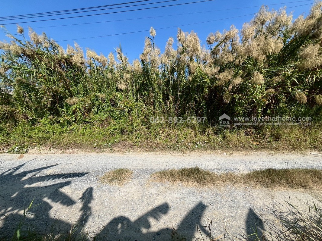 ขายที่ดินสวย บางบัวทอง ซอยวัดลาดปลาดุก โอกาสทองที่ห้ามพลาด ที่ดินถมแล้ว พื้นที่ 100 ตรว. แปลงสวยติดถนน ราคาพิเศษ 15,000 บาท/ตรว.เท่านั้น ด่วนมีจำนวนจำกัดพลาดแล้วพลาดเลย ที่ดินราคาหลักล้านต้นๆ บนทำเลที่คุณจับต้องได้ง่ายๆ